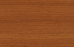 Farbe Streifendouglasie